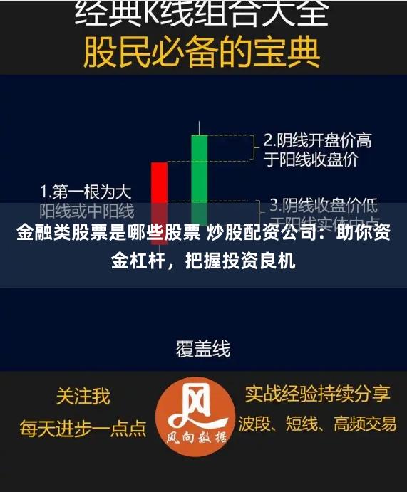 金融类股票是哪些股票 炒股配资公司：助你资金杠杆，把握投资良机
